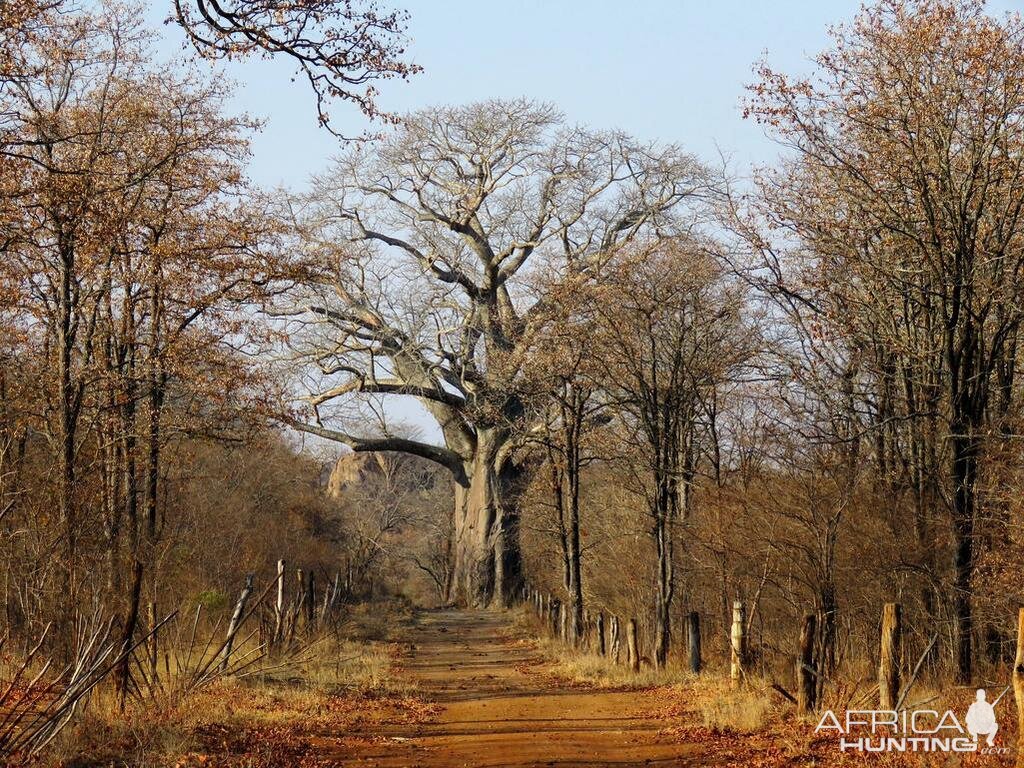 Zimbabwe