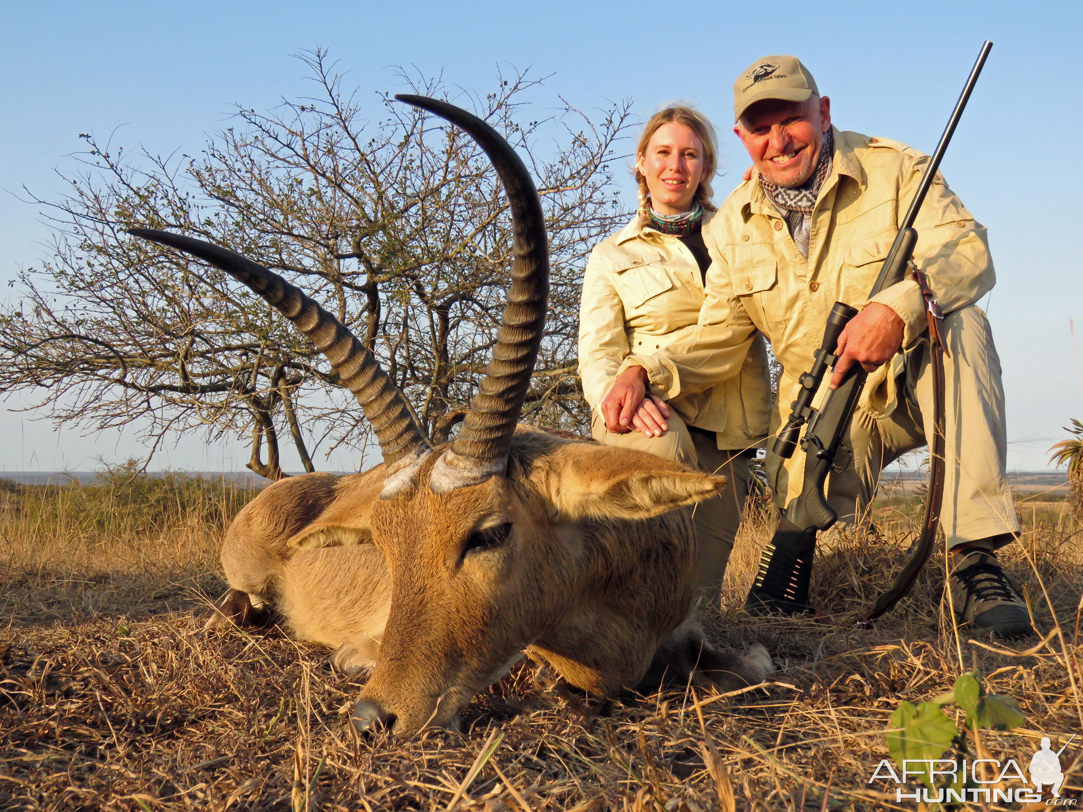 Zululand Common Reedbuck