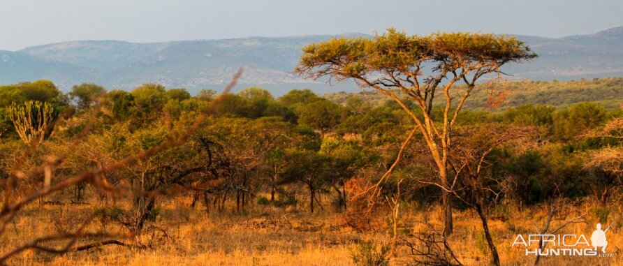 Zululand Rhino Reserve